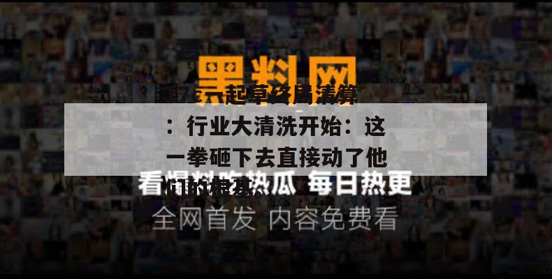 17c一起草终局清算：行业大清洗开始：这一拳砸下去直接动了他们的根基。